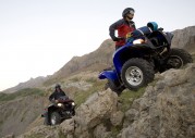 Yamaha Grizzly Yamaha Grizzly